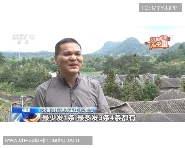 探索足球球衣的设计演变与文化意义，揭示其背后的故事与风格趋势